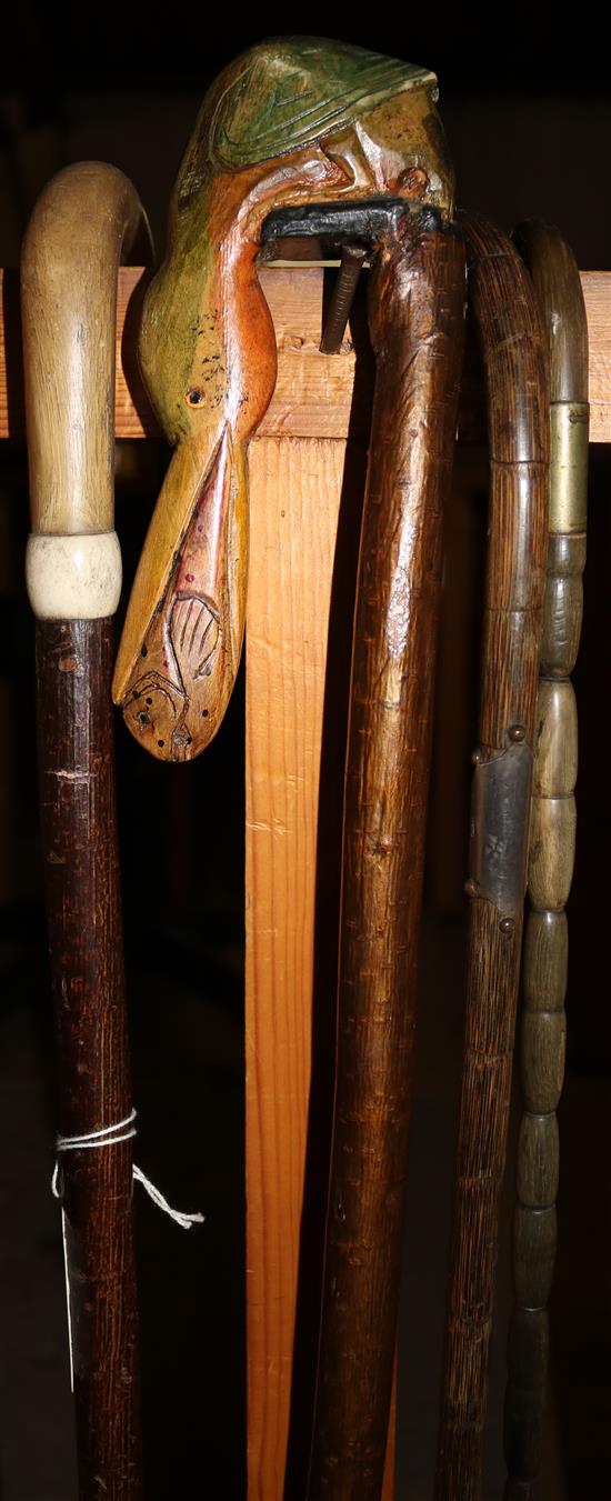 4 various walking sticks